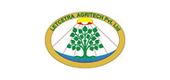 16.-Letcetra-Private-Limited